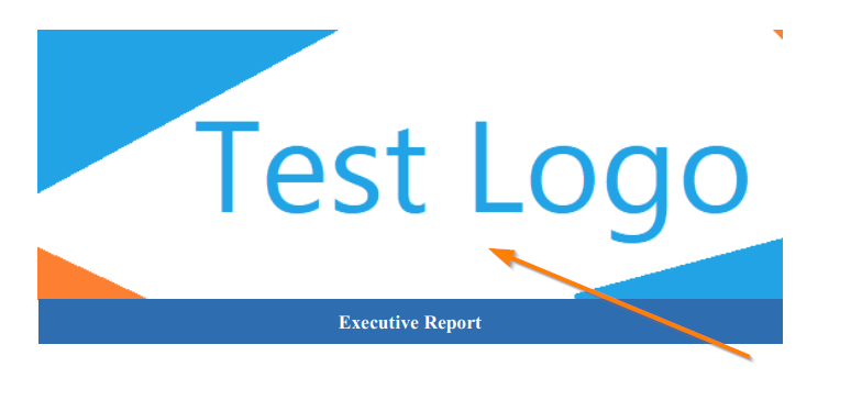 Cover logo at the top of a PDF report