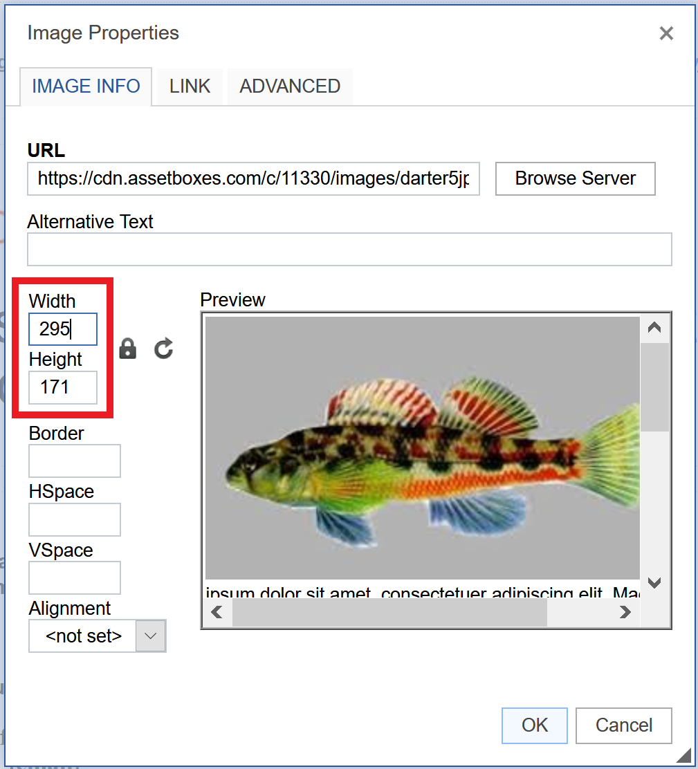 Image Properties page > Image info tab (with tabs of LINK and ADVANCED next to it). There are fields for URL, alternative text, width, height, border, HSpace, Vspace, and alignment, along with a preview of the image.