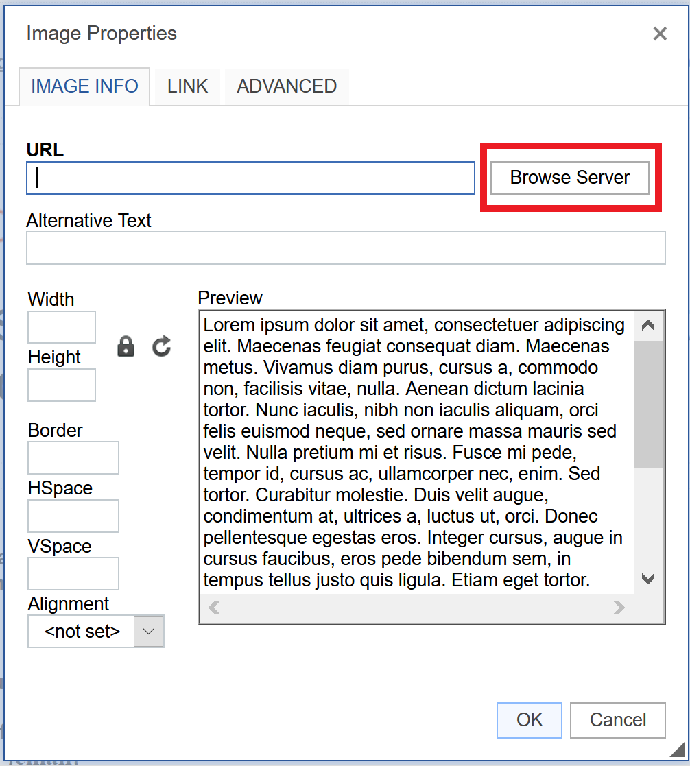 Browse Server button for uploading an image
