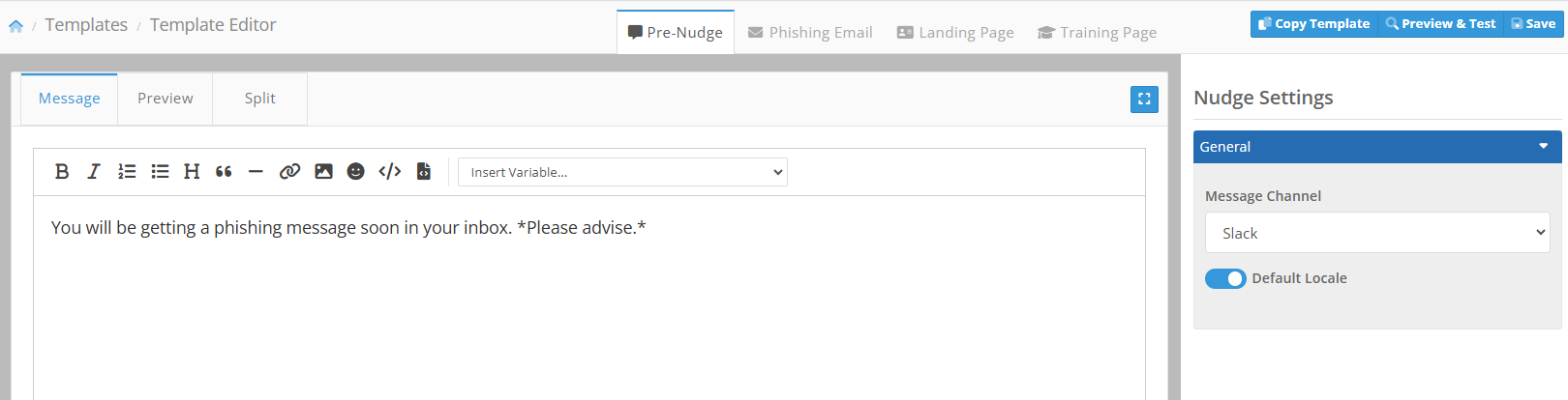 Pre-Nudge Message editor with Slack selected as the message channel