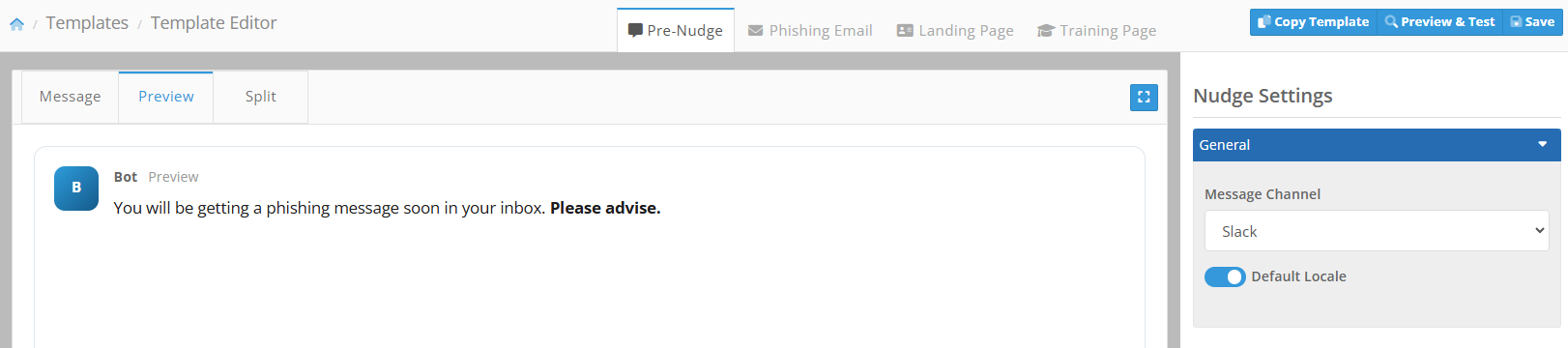 Preview view of a Slack pre-nudge message